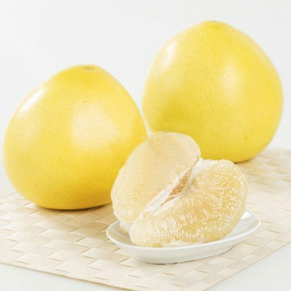 维多丽白肉蜜柚