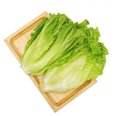 天口味高原生菜