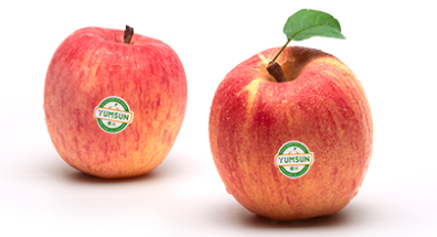 山东苹果