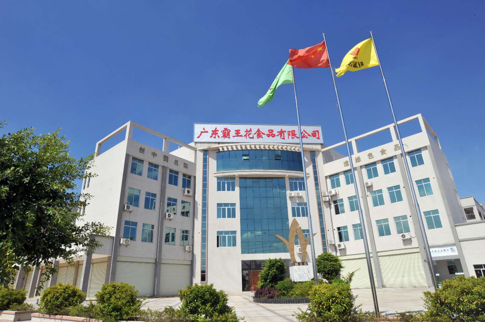 广东霸王花食品有限公司