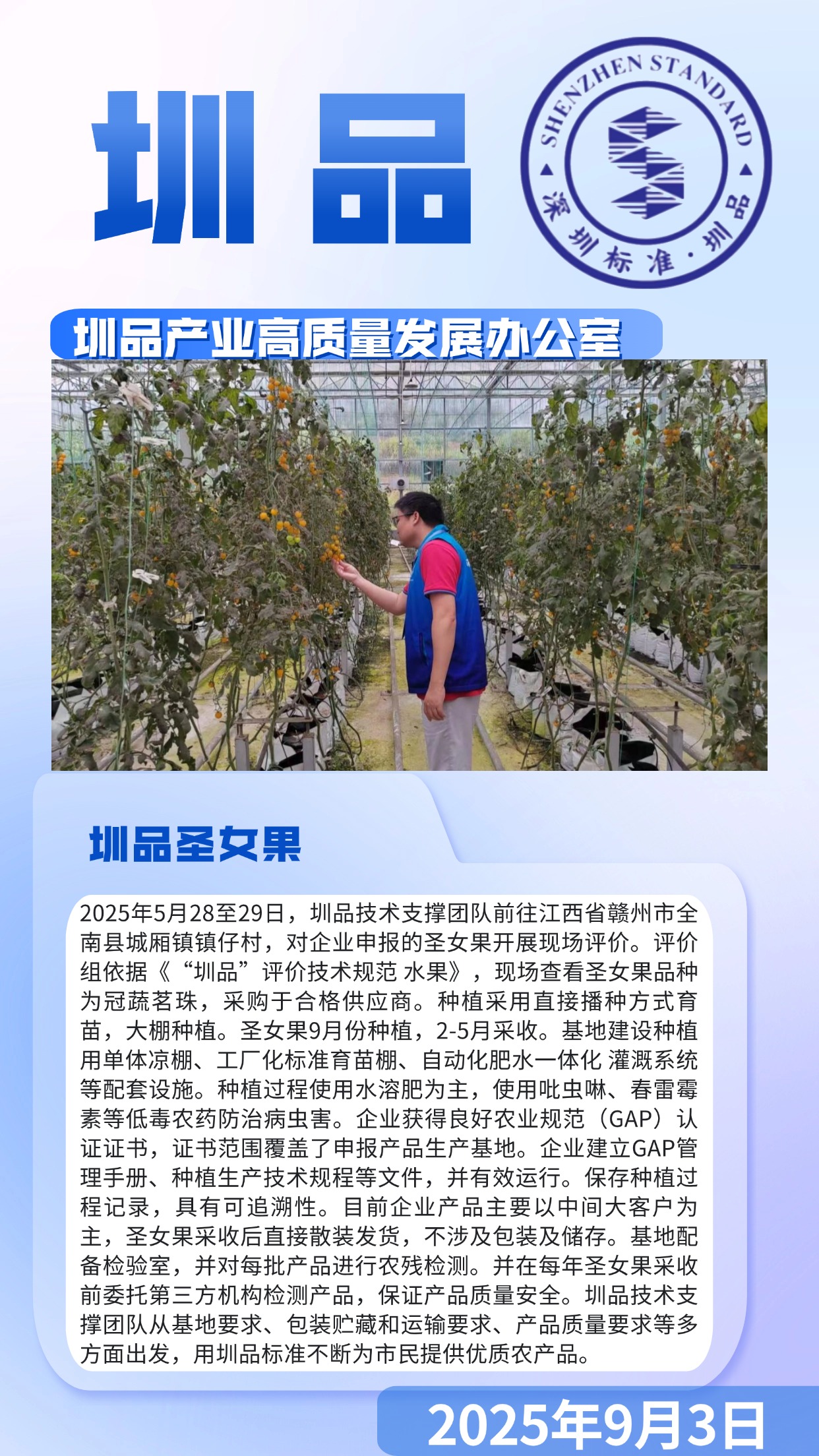 圳品圣女果.jpg