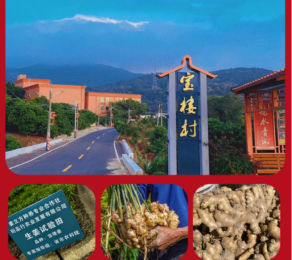 七夕予温柔 一份圳品姜茶，把岁岁暖意藏进朝夕爱意里